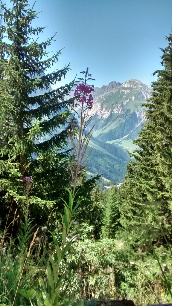 IMG_20160827_123328991_HDR